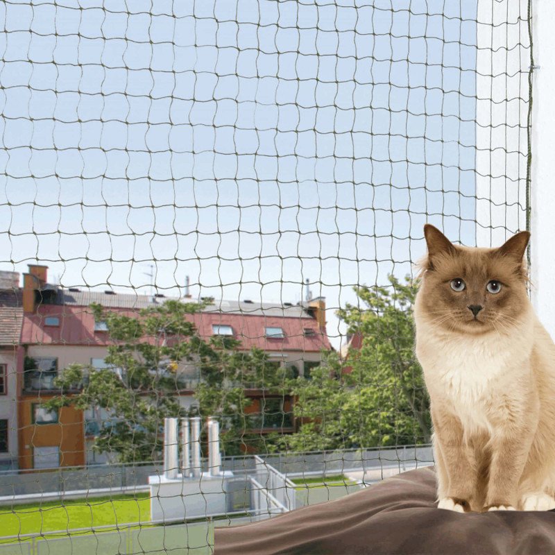 filet anti-chat appartement Casablanca